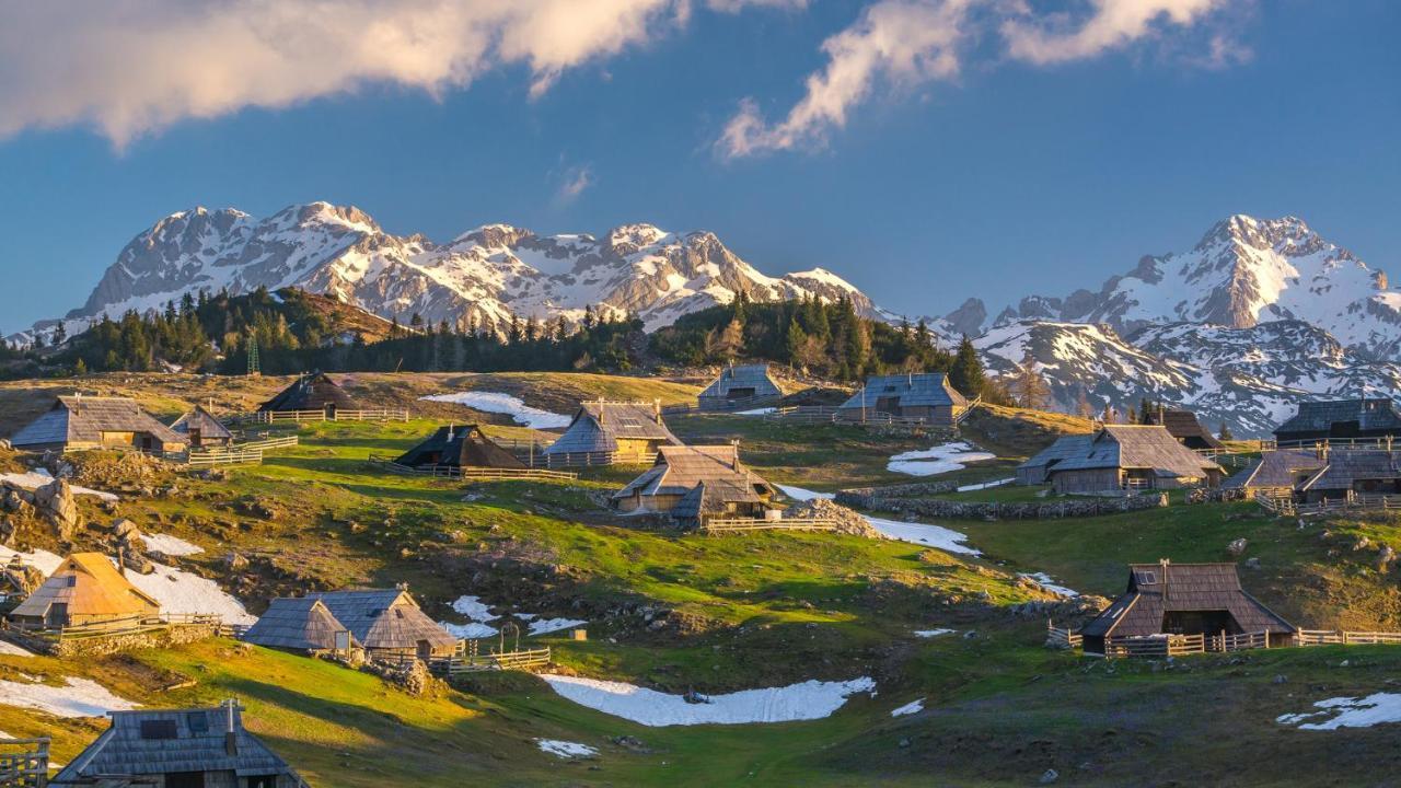 Vacation Station Kamnik Daire Dış mekan fotoğraf