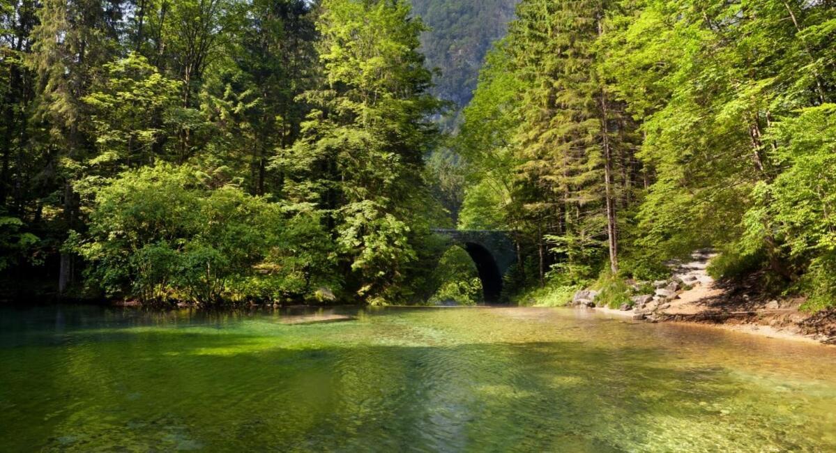 Vacation Station Kamnik Daire Dış mekan fotoğraf
